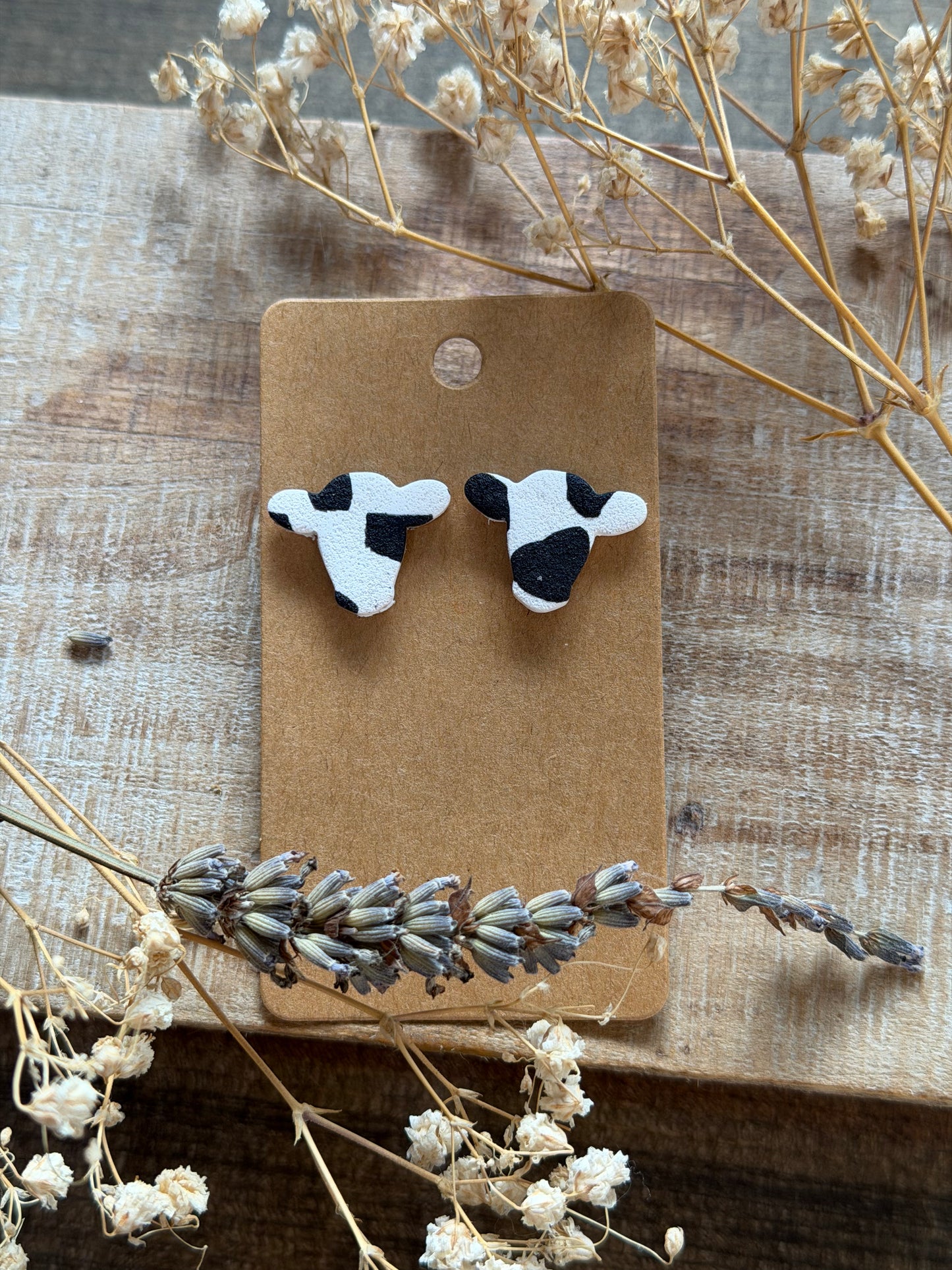 Black N White Cow Stud