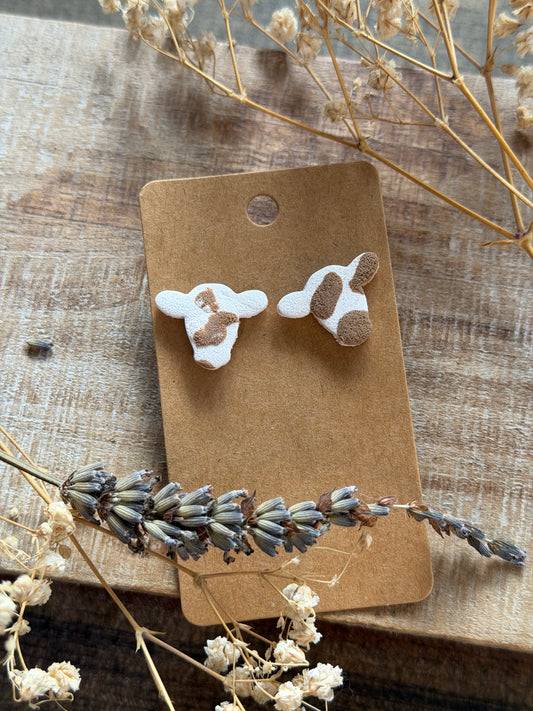 Brown N White Cow Stud