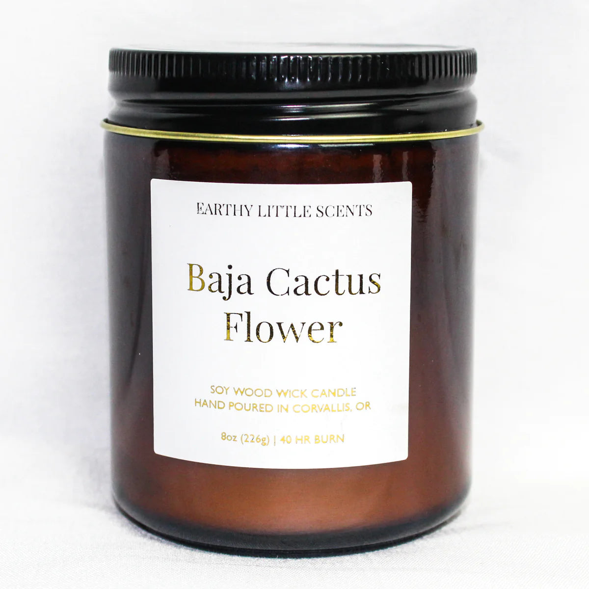 Baja Cactus Flower